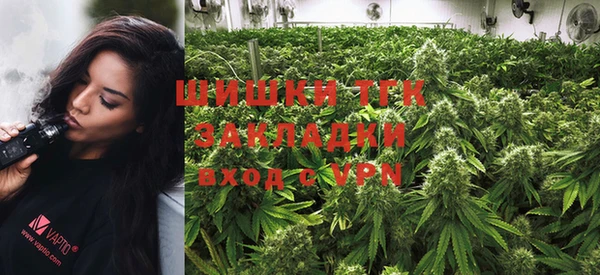 индика Пенза