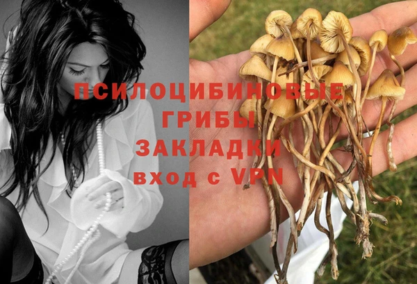 дмт Арсеньев