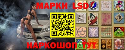 прущие грибы Кунгур
