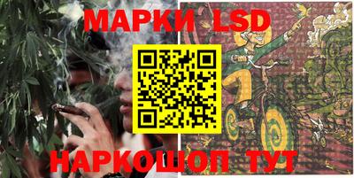 прущие грибы Кунгур