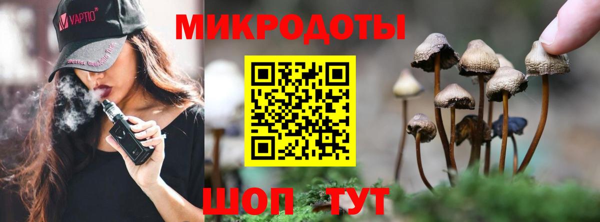 купить наркоту  Вход с VPN  Каменск-Уральский  Галлюциногенные грибы GOLDEN TEACHER 